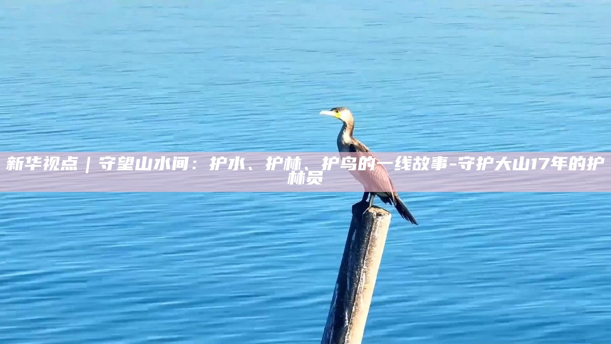 _新华视点｜守望山水间：护水、护林、护鸟的一线故事_新华视点｜守望山水间：护水、护林、护鸟的一线故事
