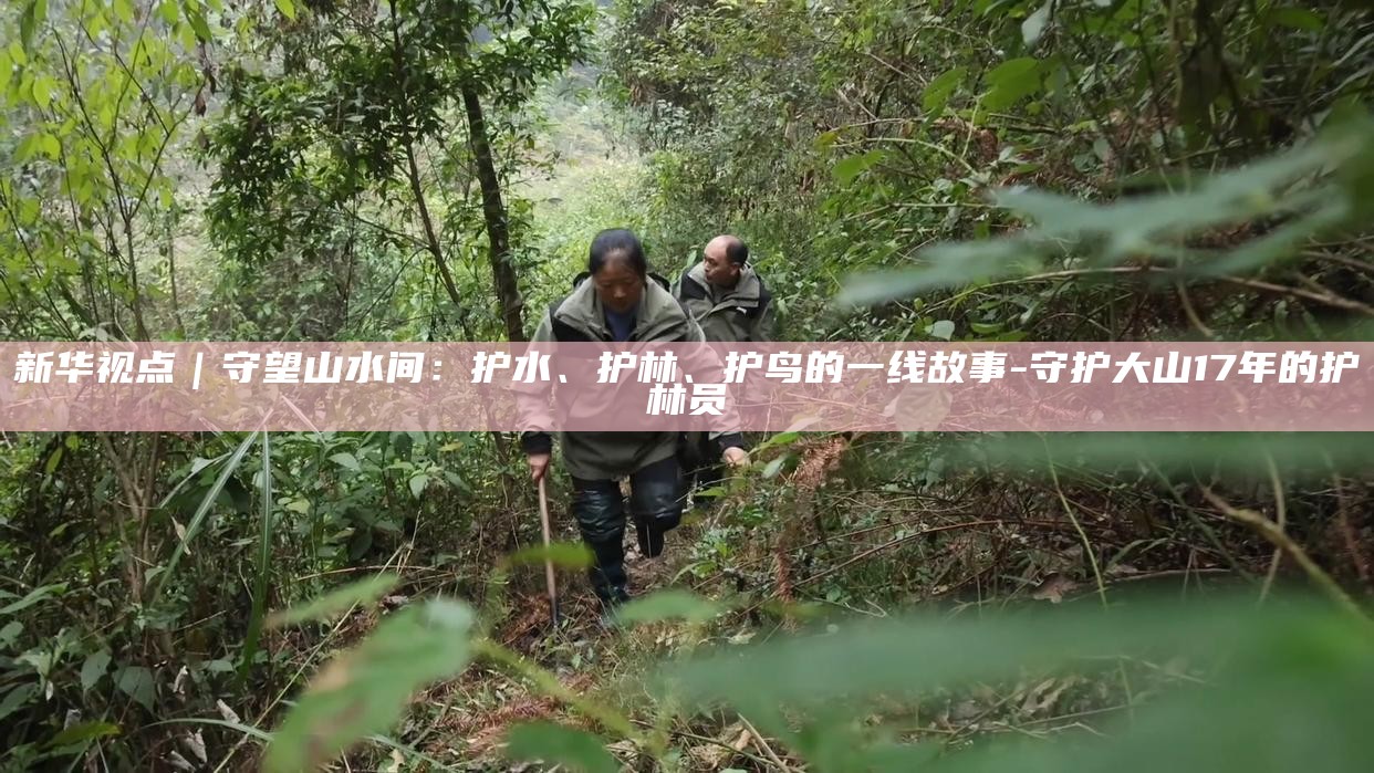 _新华视点｜守望山水间：护水、护林、护鸟的一线故事_新华视点｜守望山水间：护水、护林、护鸟的一线故事