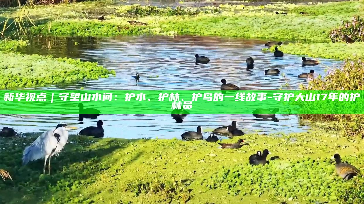 新华视点｜守望山水间：护水、护林、护鸟的一线故事__新华视点｜守望山水间：护水、护林、护鸟的一线故事
