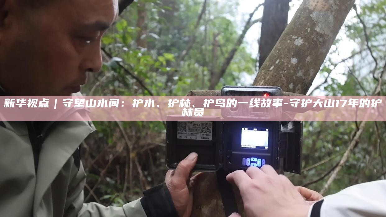 新华视点｜守望山水间：护水、护林、护鸟的一线故事__新华视点｜守望山水间：护水、护林、护鸟的一线故事