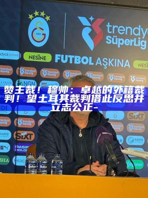 _瑞士土耳其裁判_意大利土耳其裁判