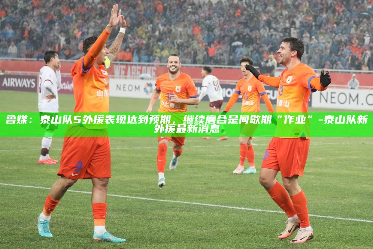 山东泰山队外援情况_泰山新外援_
