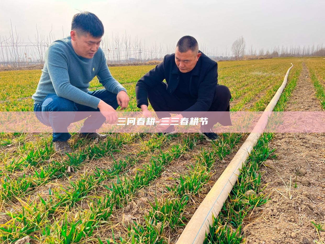 _春耕_问春耕打油诗